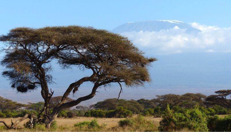What Can Europe Gain in Africa?